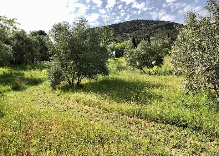 Satori, Paradise In Rural